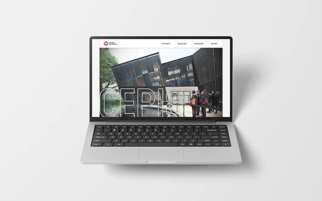 Web CEPIS